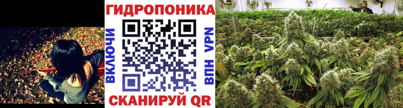 мега вход  что такое   Кукмор  Шишки марихуана сатива 